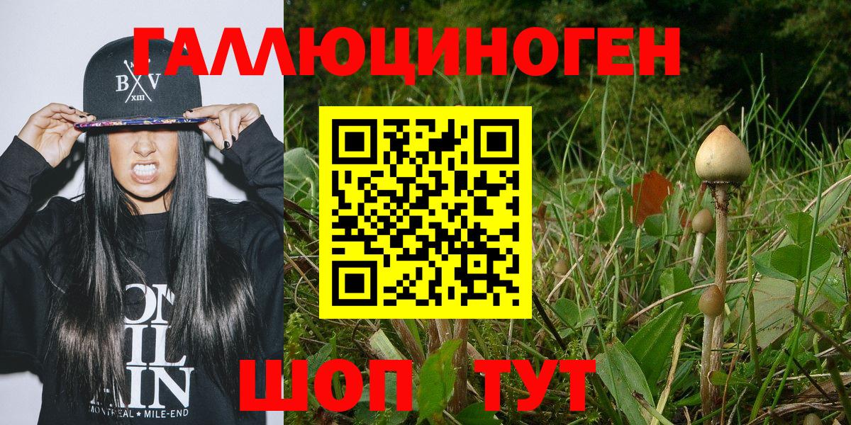 Псилоцибиновые грибы Magic Shrooms  Псилоцибиновые грибы мицелий  Кунгур  Вход с VPN 