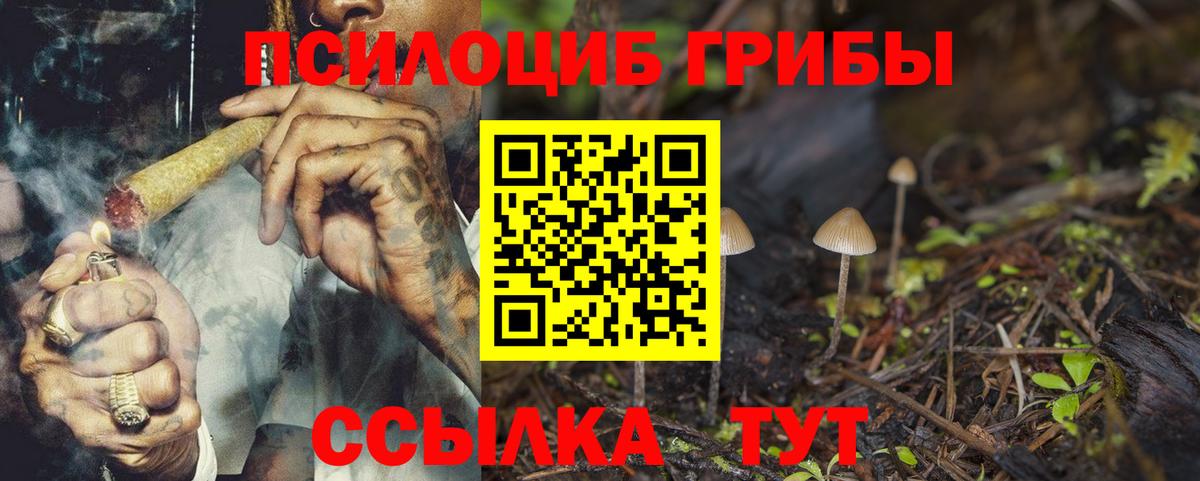 Псилоцибиновые грибы Psilocybe Кунгур
